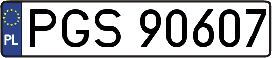 PGS90607