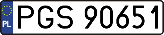 PGS90651