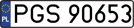 PGS90653