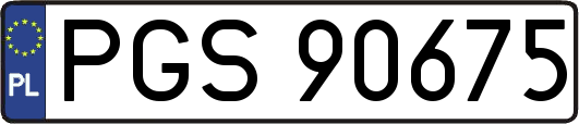 PGS90675