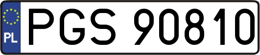 PGS90810