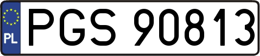 PGS90813