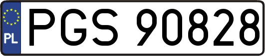 PGS90828