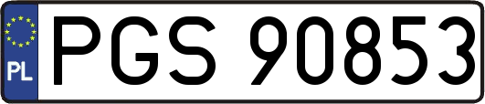 PGS90853