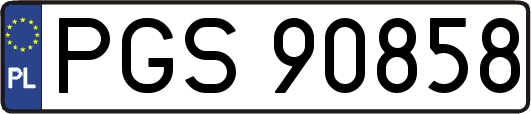 PGS90858