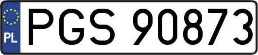 PGS90873