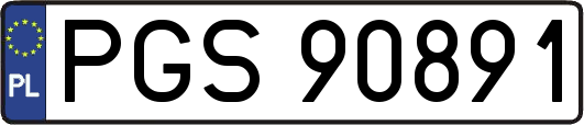 PGS90891