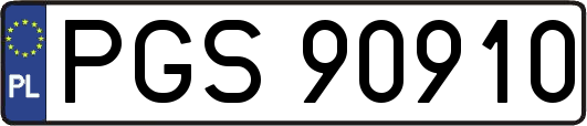 PGS90910
