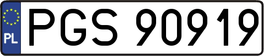 PGS90919