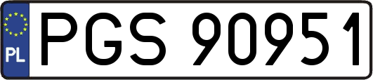 PGS90951