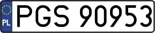 PGS90953