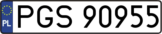 PGS90955