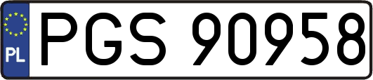 PGS90958