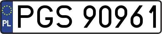 PGS90961