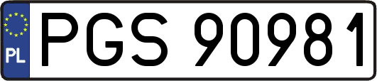 PGS90981