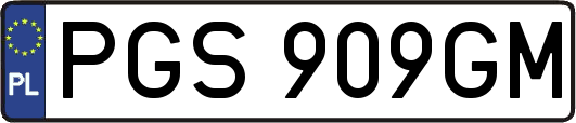 PGS909GM