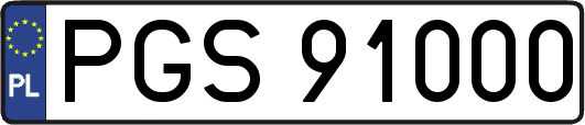 PGS91000