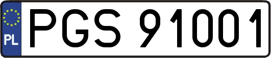 PGS91001