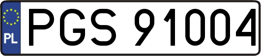 PGS91004