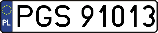 PGS91013