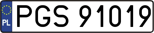 PGS91019