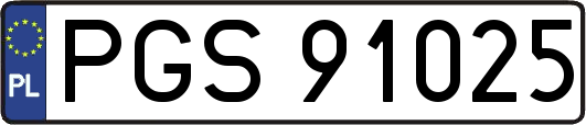 PGS91025