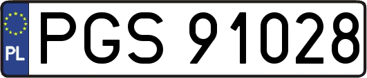 PGS91028