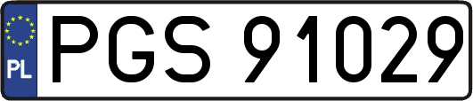PGS91029