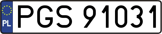 PGS91031