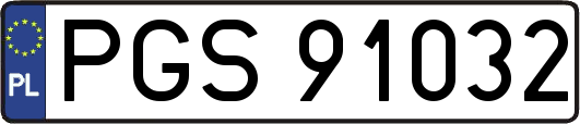 PGS91032