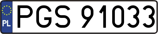 PGS91033