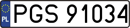 PGS91034