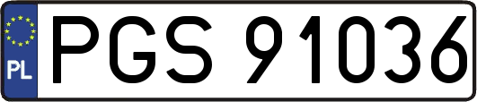 PGS91036
