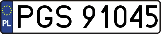 PGS91045