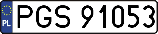 PGS91053