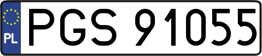 PGS91055