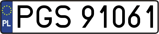 PGS91061