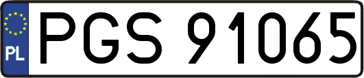 PGS91065