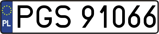 PGS91066