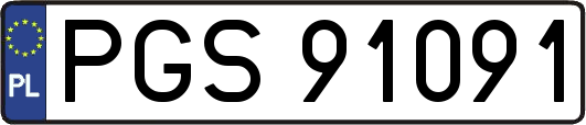 PGS91091