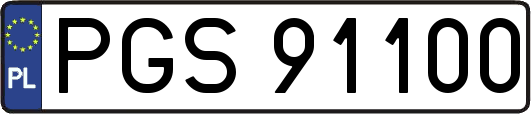 PGS91100