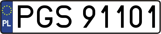 PGS91101