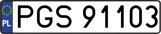 PGS91103