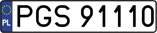 PGS91110