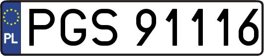 PGS91116