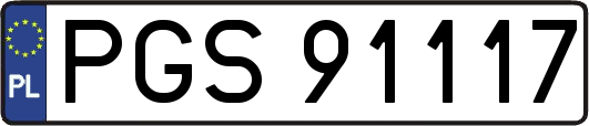 PGS91117