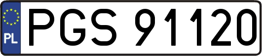 PGS91120