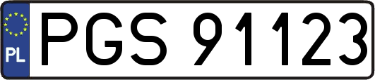 PGS91123