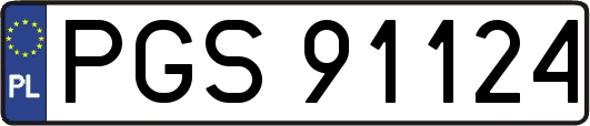 PGS91124