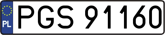 PGS91160